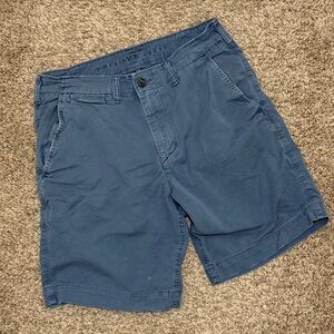 American Eagle Outfitters Navy Flat Front Shorts
